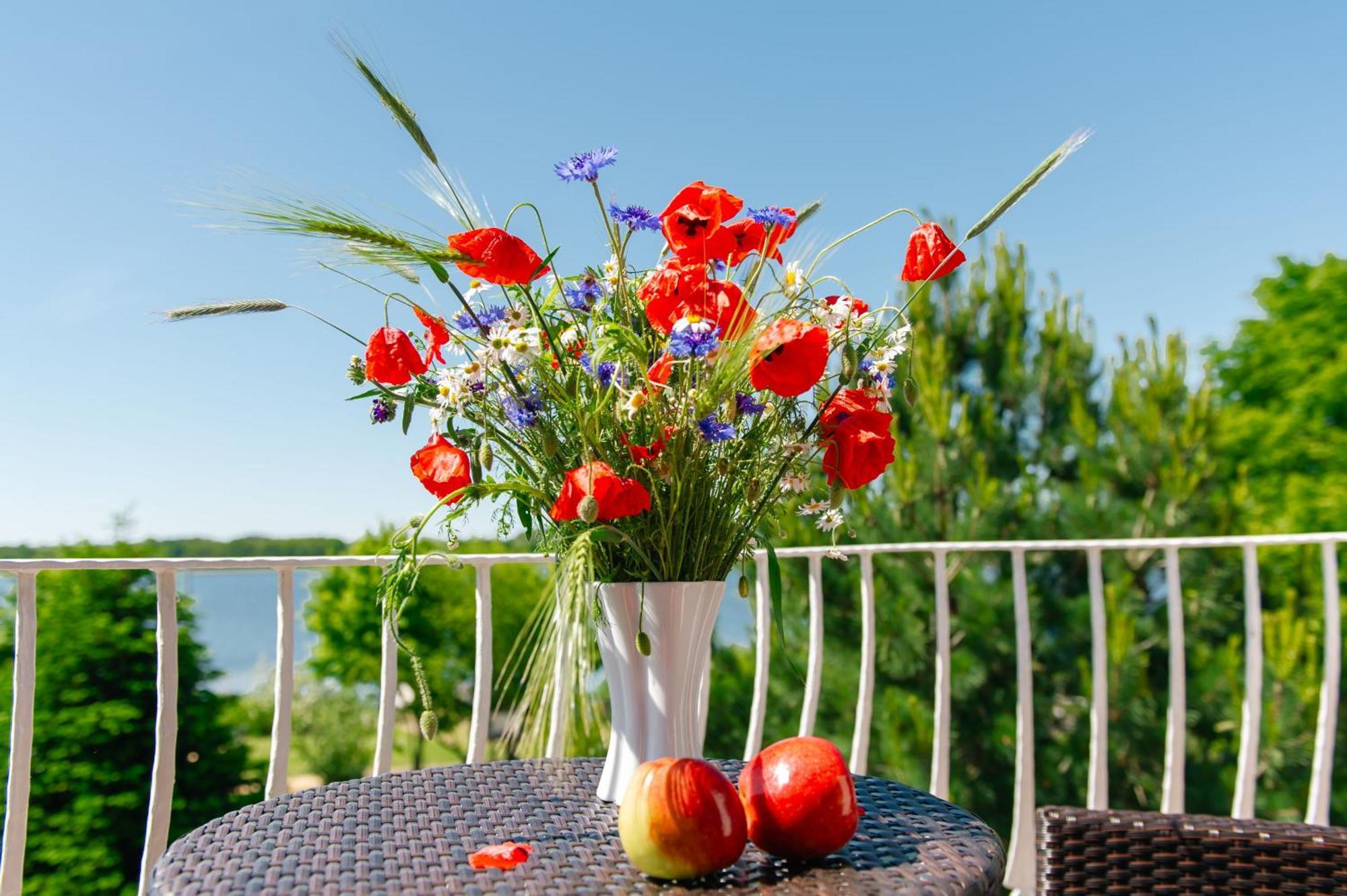 Selliner Ferienappartements Mit Balkon Und Seeblick Екстериор снимка
